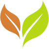 logo-nobg logo-nobg